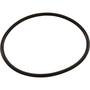 Hydroseal - O-Ring, Volute
