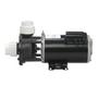 Gecko - Aqua-Flo Flo-Master CP 3/4 HP 115V Dual Speed Center Discharge Pump