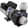 Gecko - Aqua-Flo Flo-Master XP2 06120500-2040 2 HP 230V Dual Speed Spa Pump