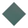 GLI - Mesh Safety Cover 18x36 ft Rectangle with 4x8 Left Step, Green